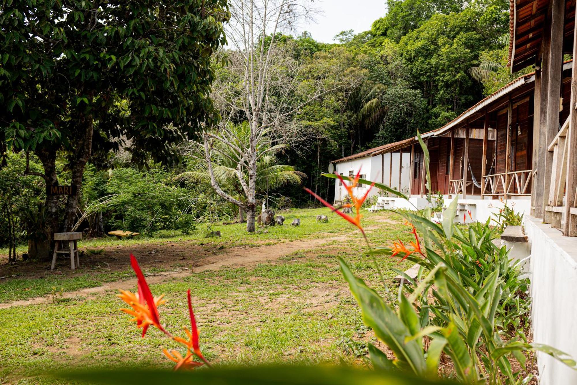 Refugio Mari Mari Lodge Presidente Figueiredo Εξωτερικό φωτογραφία