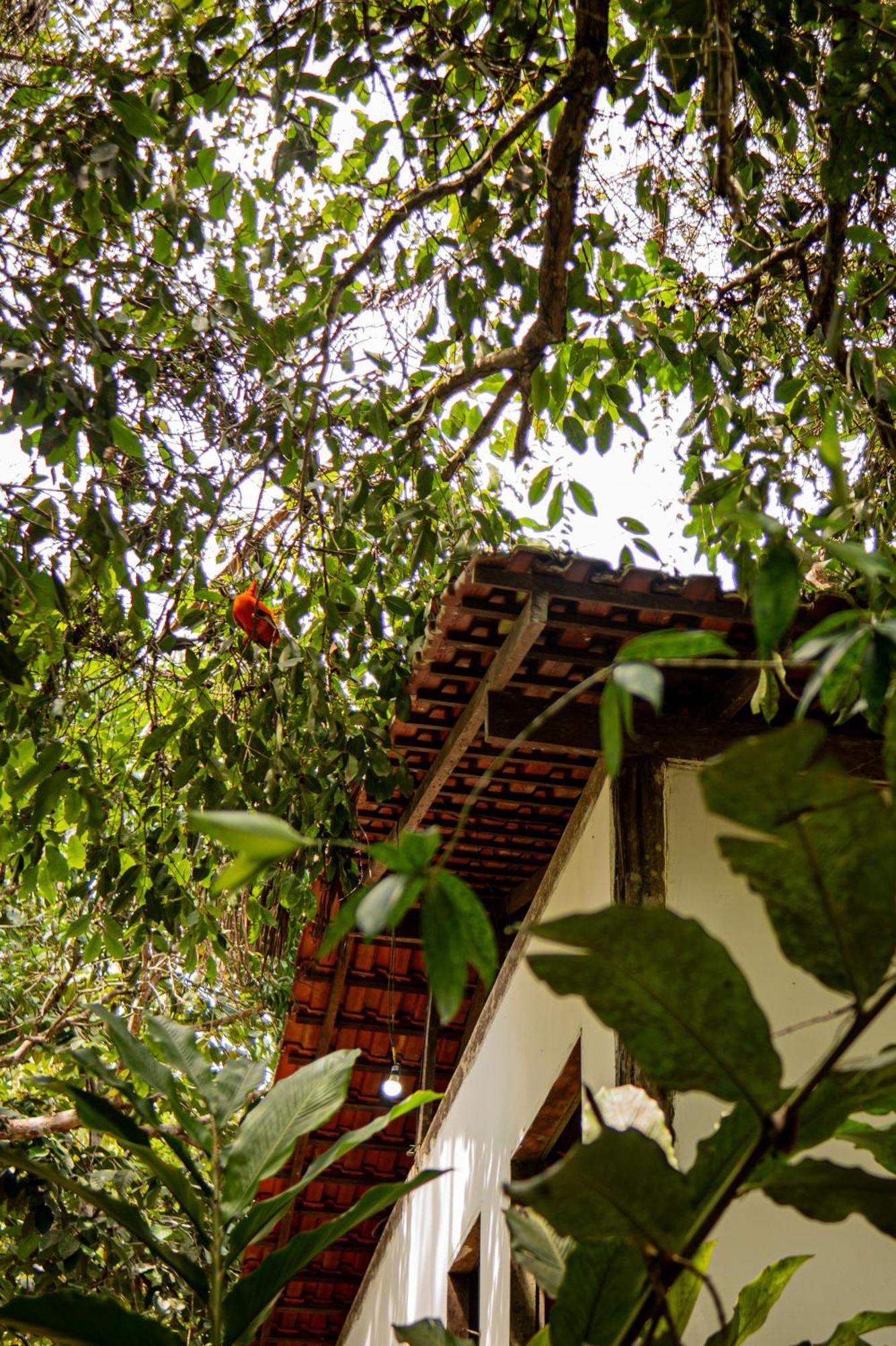 Refugio Mari Mari Lodge Presidente Figueiredo Εξωτερικό φωτογραφία
